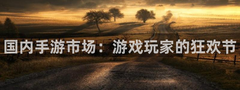 天美娱乐登陆地址：国内手游市场：游戏玩家的狂欢节