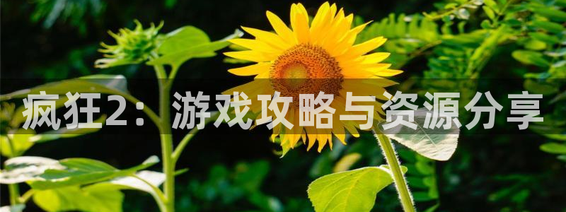 天美娱乐登陆测速：疯狂2：游戏攻略与资源分享