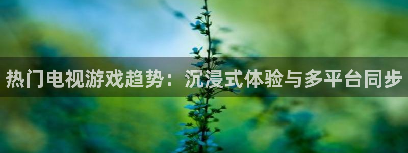 天美娱乐手机网页版登录：热门电视游戏趋势：沉浸式体验与多平台
