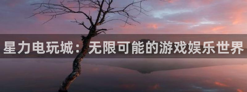 天美娱乐登录网址：星力电玩城：无限可能的游戏娱乐世界