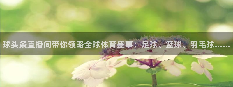 新闻图片