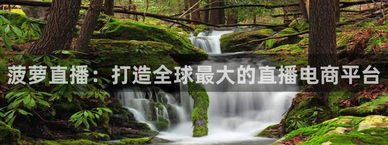 看球吧直播cba直播：菠萝直播：打造全球最大的直播电商平台