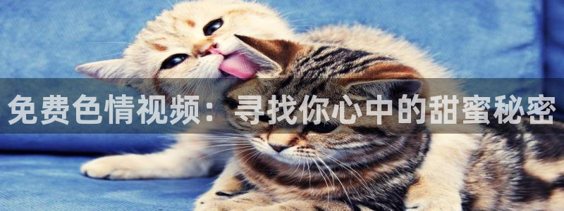 88看球吧直播：免费色情视频：寻找你心中的甜蜜秘密