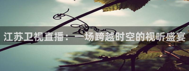 nba免费直播看球吧：江苏卫视直播：一场跨越时空的视听盛宴
