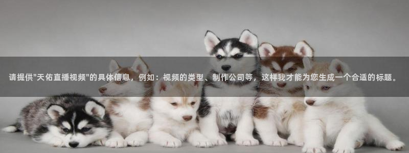 新闻图片